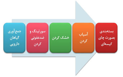 -3طرح توجیهی احداث واحد تولید چای کیسه ای با منشا گیاهان داروئی